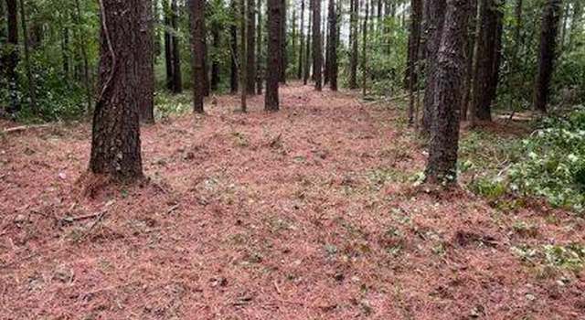 Photo of 312 Riversound Dr, Edenton, NC 27932