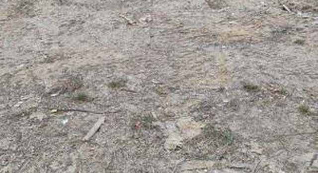 Photo of 832 Us 13, Windsor, NC 27983