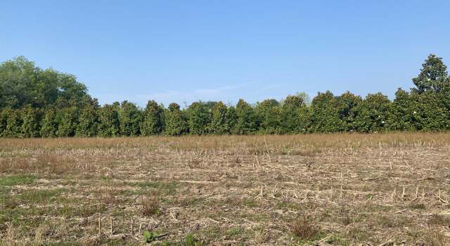 Photo of Near 8755 Andrew Jackson Hwy SW, Cerro Gordo, NC 28430