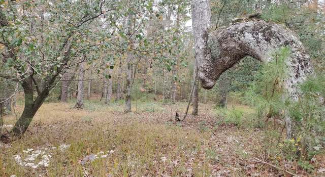 Photo of Lot 98 Waters Edge Dr, Chocowinity, NC 27817