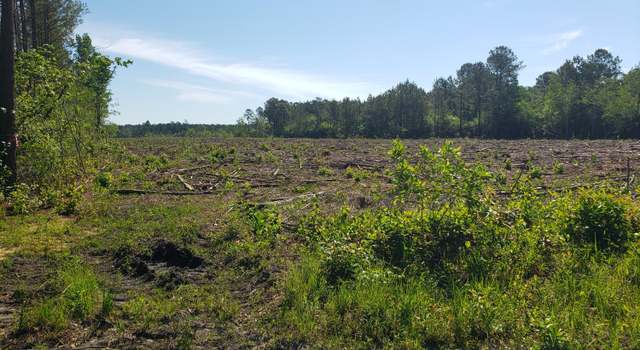 Photo of 23.95ac Loop Rd, Bolton, NC 28423