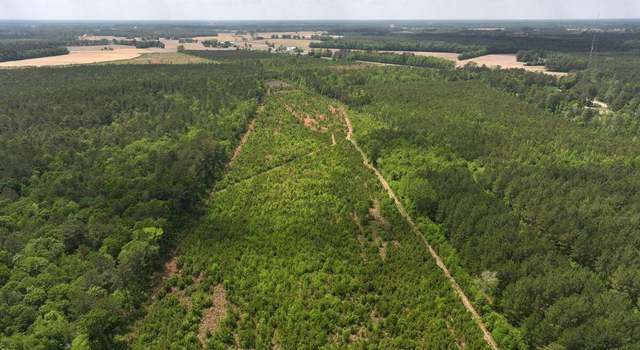 Photo of 0 Chance Blvd, Parmele, NC 27871