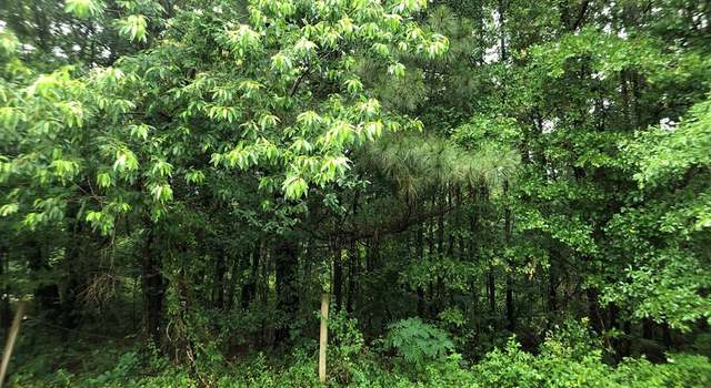 Photo of 111 Wilderness Dr, Pikeville, NC 27863