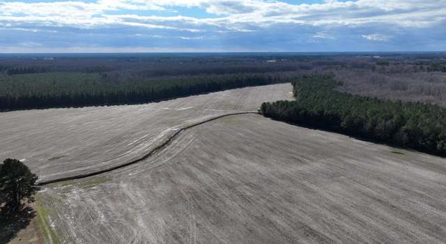 Photo of 0 Daniels Rd, Corapeake, NC 27926