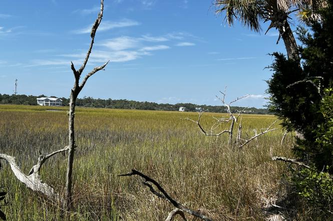 53-cape-creek-rd-bald-head-island-nc-28461-mls-100351902-redfin