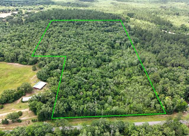 Property at TBD Douglas Ferry Rd, Caryville, FL 32427