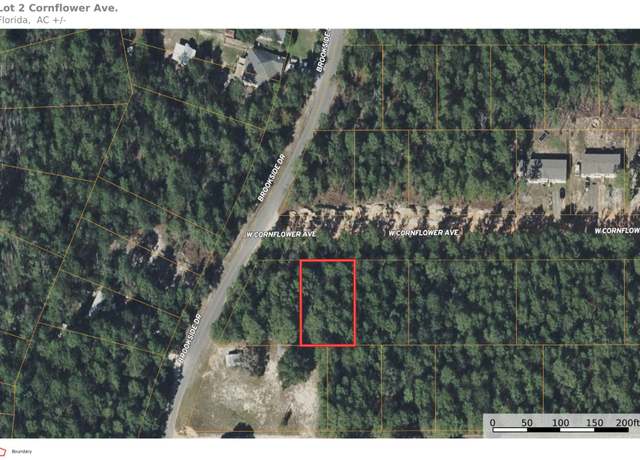 Property at Lot 2 Cornflower Ave, Mossy Head, FL 32434