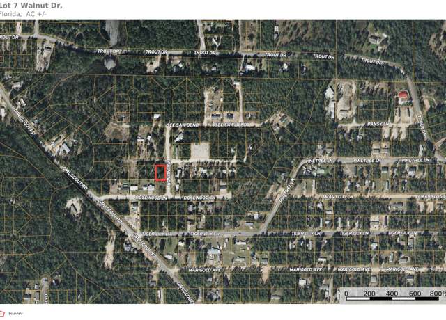 Property at Lot 7 Walnut Dr, Mossy Head, FL 32434