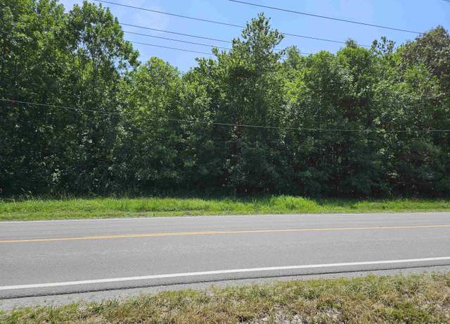 Property at 000 State Route 51 Rte, Pulaski, IL 62976