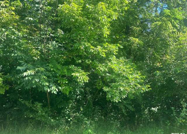 Property at 10 Summit Dr, Mackinaw, IL 61755