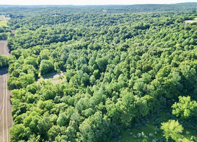 Property at 000 Yellow Springs Rd, Elizabethtown, IL 62931