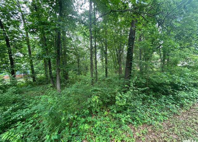 Property at 000 White Birch Ct, Benton, IL 62812
