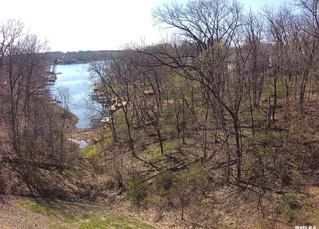 Property at 23 Oak Point Ct, Dahinda, IL 61428