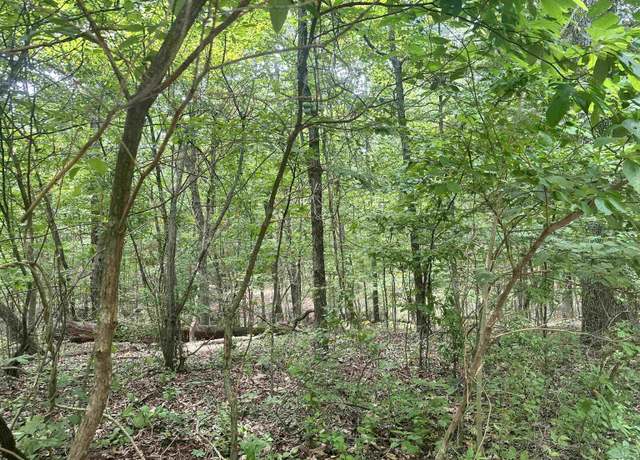 Property at 000 Knob Creek Rd, Carbondale, IL 62903