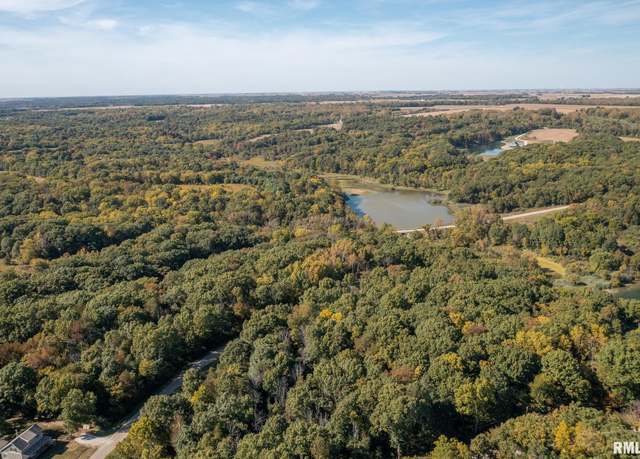 Property at 83 Walnut Ct, Dahinda, IL 61428