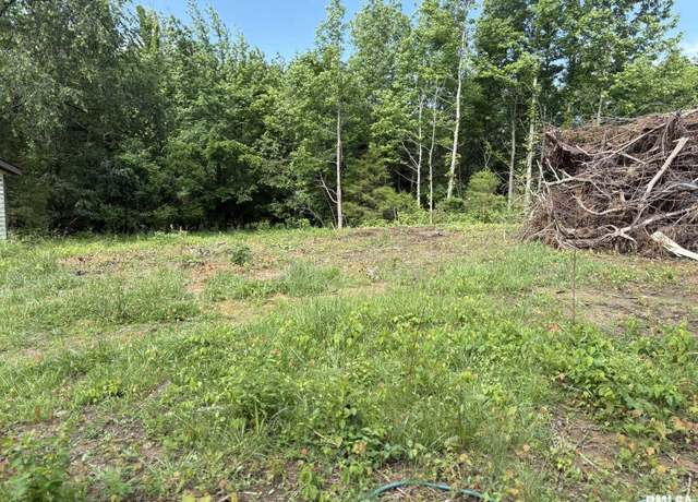 Property at 7227 Pickle City Rd, Benton, IL 62812