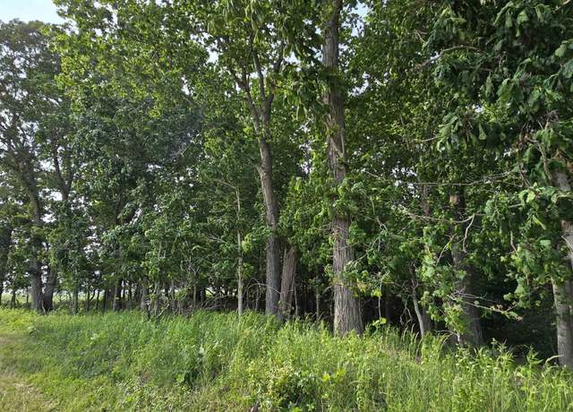 Property at 000 Wilson Rd, Kinmundy, IL 62854