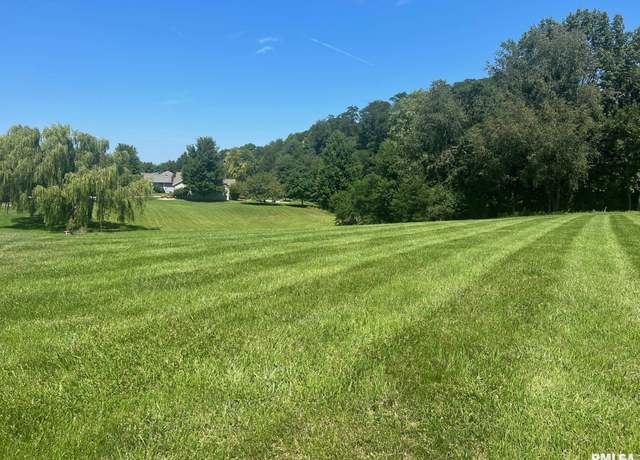 Property at Lot 25 Lone Oak St, Petersburg, IL 62675