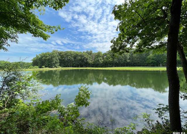 Property at 224 Beyers Lake Est, Pana, IL 62557