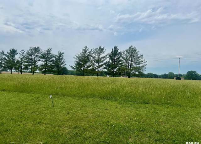 Property at Lot 21 Guinan St, Petersburg, IL 62675