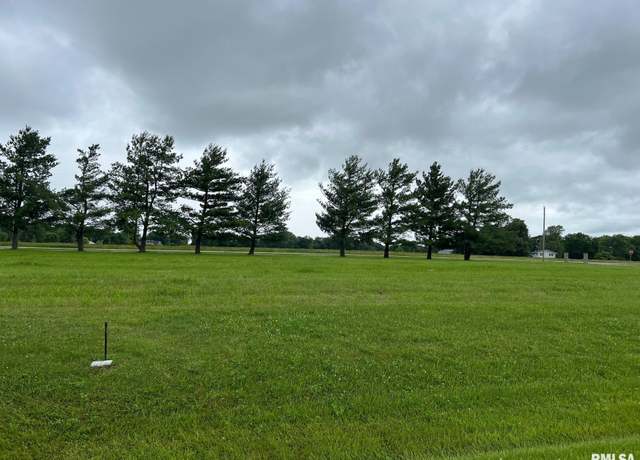 Property at Lot 21 Guinan St, Petersburg, IL 62675
