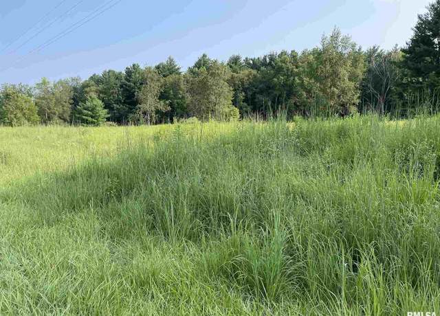 Property at Lot 258 Oak Run Dr, Dahinda, IL 61428