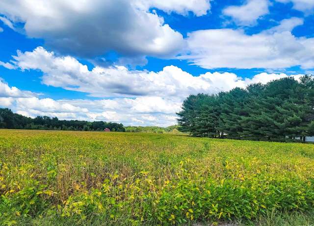 Property at Tract 1 Coon Creek Rd, Flora, IL 62839