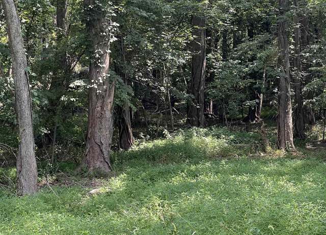 Property at TBD Lot 7 8 9 Kentucky St, Cambria, IL 62915