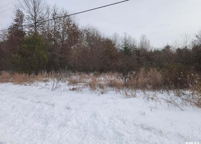 Property at LOT 5 E Hutchison Rd, Mt Vernon, IL 62864