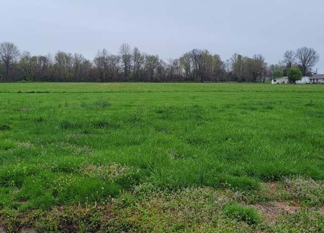 Property at O E North St, Bonnie, IL 62816