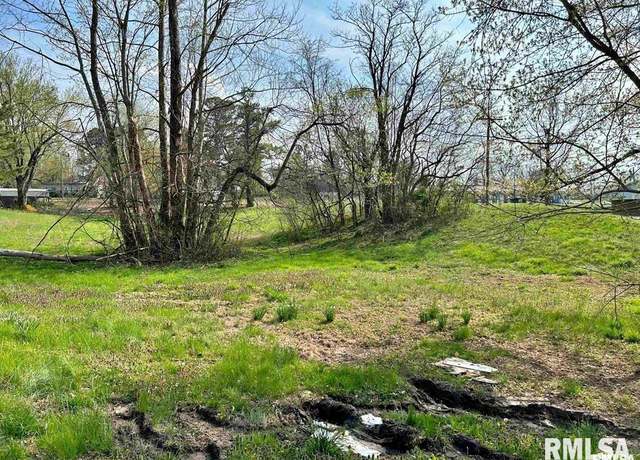 Property at 00 Lewis St, Golconda, IL 62938