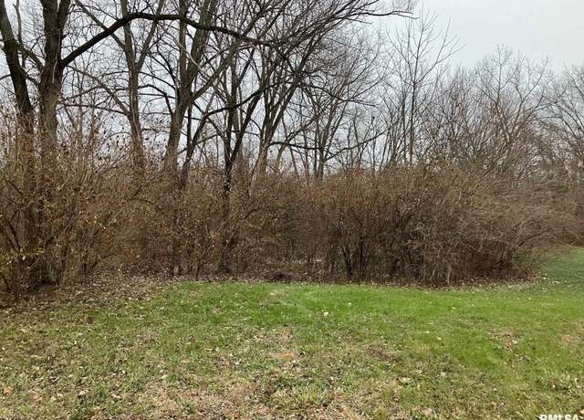 Property at 213 Tulip Dr, Mackinaw, IL 61755