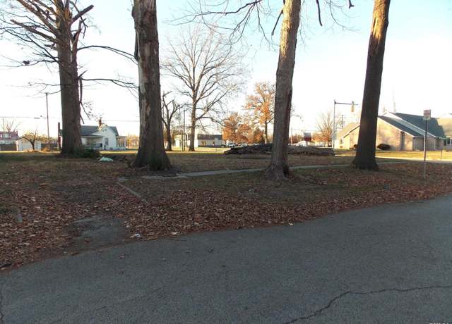 Property at 238 N Beech St, Centralia, IL 62801