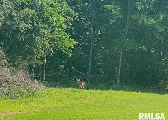 Property at 000 N America Rd, Galatia, IL 62935