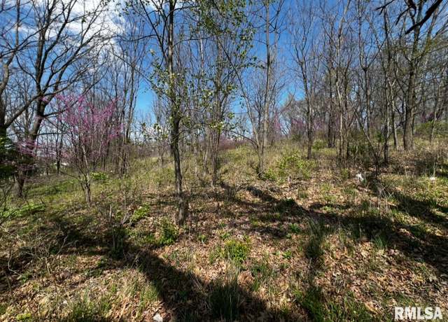 Property at LOT 201 James St, Port Byron, IL 61256