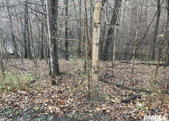 Property at 00 Deer Ridge Rd, Goreville, IL 62939