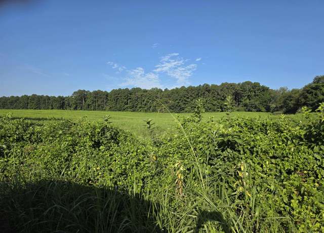 Property at 00 Catholic Church Road Rd, Golconda, IL 62938
