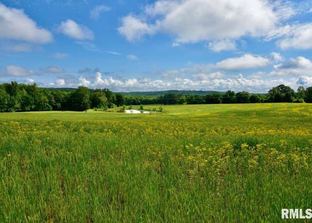 Property at 000 Pleasant Ridge Rd, Vienna, IL 62995