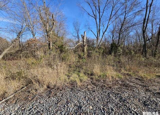 Property at 0000 N IL Hwy 37 Hwy, Bonnie, IL 62816