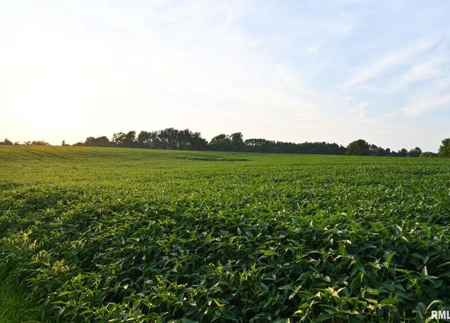 Property at RR 1350TH Street St, Versailles, IL 62378
