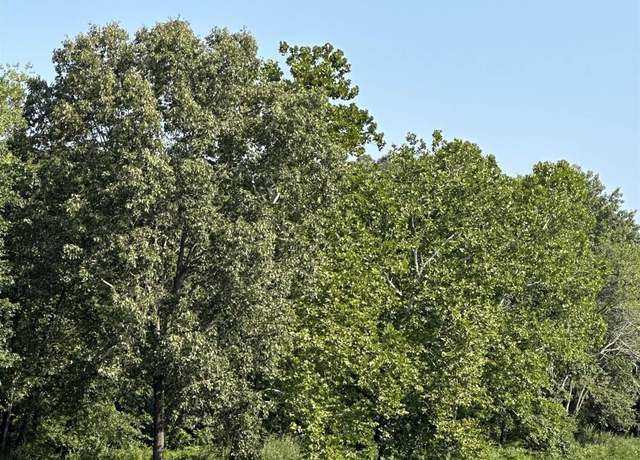 Property at 000 Petroff Rd, Benton, IL 62812