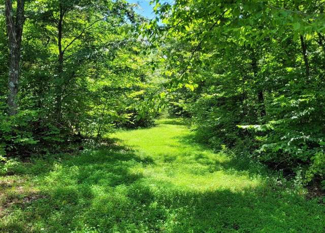 Property at 0001 TBD Cross Creek Rd, Cobden, IL 62920