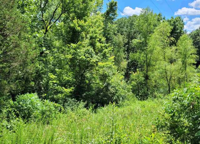 Property at 0003 TBD Cross Creek Rd, Cobden, IL 62920