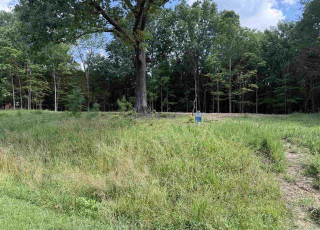 Property at Lot 305 Pecan Point Ln, Goreville, IL 62939