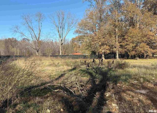 Property at 306 Orange St, Freeman Spur, IL 62841