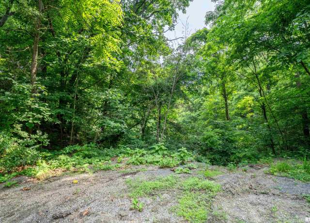 Property at #8 W Harp Hollow Rd, Peoria, IL 61607