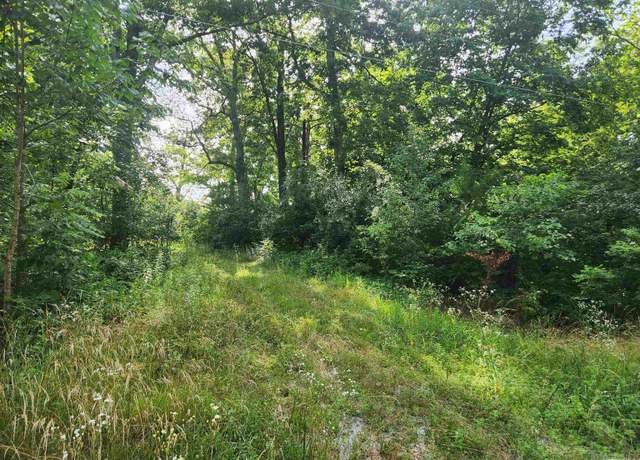 Property at 12326 N Ring Ln, Woodlawn, IL 62894