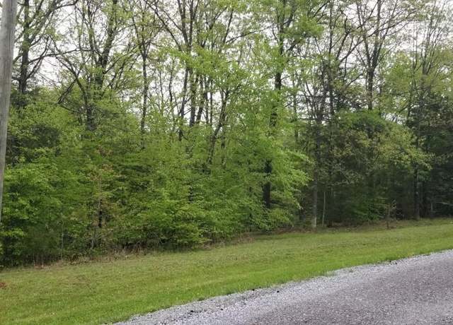 Property at Lot 80 & 81 Saluki Way, Goreville, IL 62939