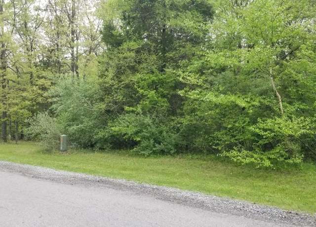 Property at Lot 82 & 83 Saluki Way, Goreville, IL 62939