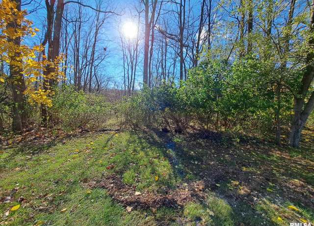 Property at Lot 23 Scenic Hl, Port Byron, IL 61275